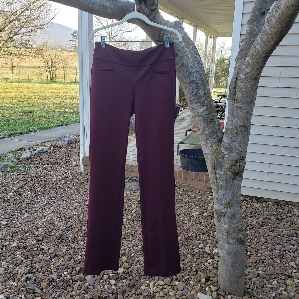 7th Avenue Pull On Burgundy Dress Pants Small